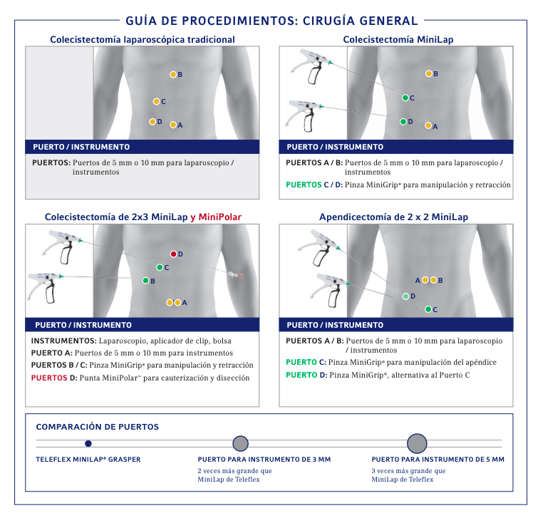 MiniLap Muestra 7