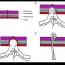 Classification of the 3 trocar site hernias A Normal stab wound of trocar site B